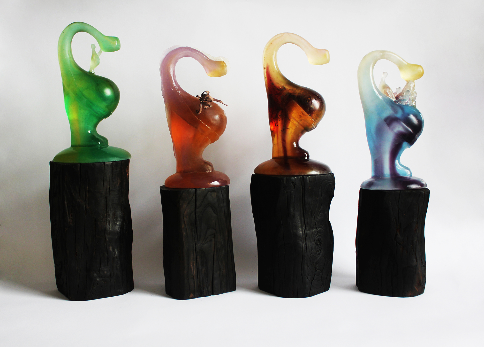 Circle of life Circle of life